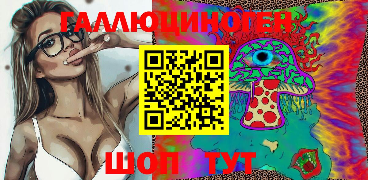 Псилоцибиновые грибы Psilocybine cubensis Дедовск