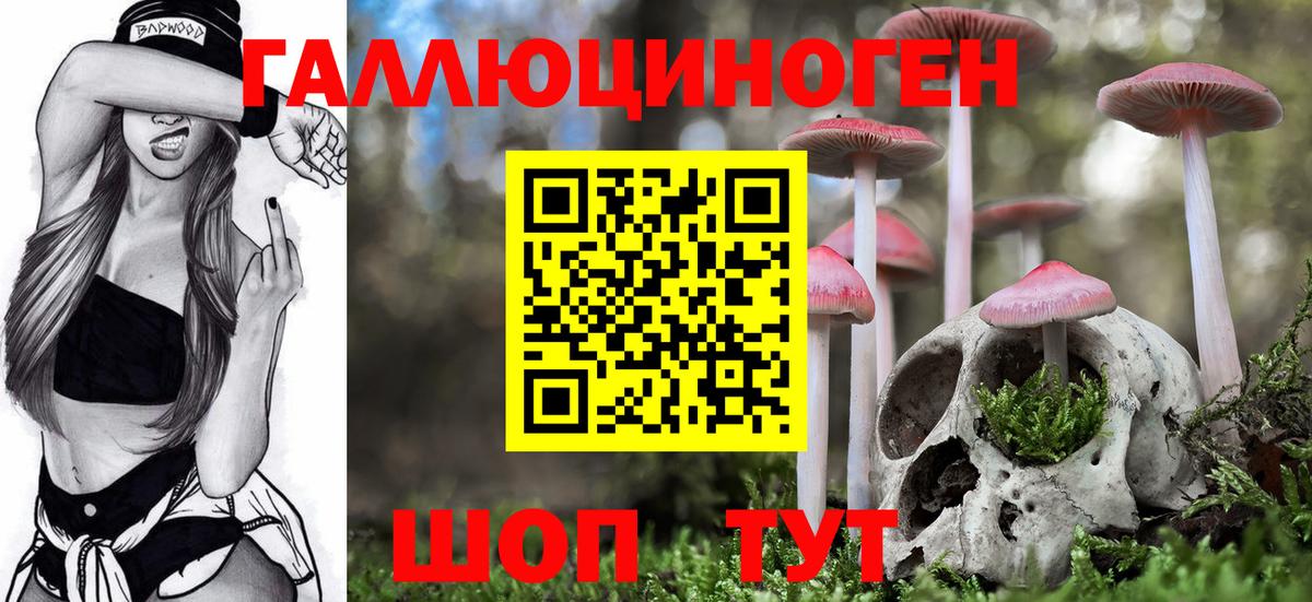 Галлюциногенные грибы Magic Shrooms  Вход с VPN  Дедовск 