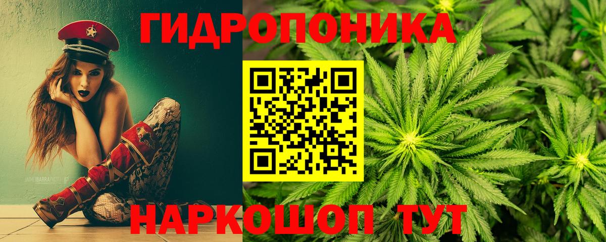 Шишки марихуана планчик Дедовск
